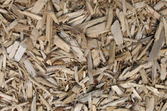 biomass boilers Furnace